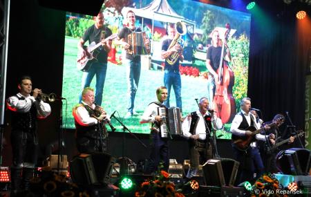 Ansambel bratov Poljanšek že 50 let navdihuje in zabava z nepozabnimi melodijami (74)